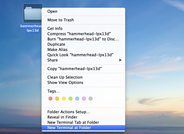 1747137646 terminal.jpg