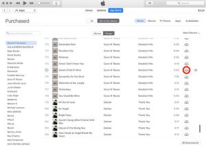 1747146877 itunes purchased music.jpg