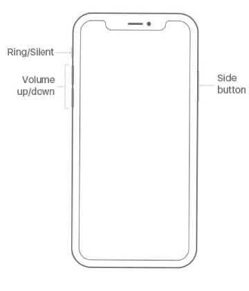 iPhone 12 Pro Max Flashing Appleロゴとブラックスクリーン