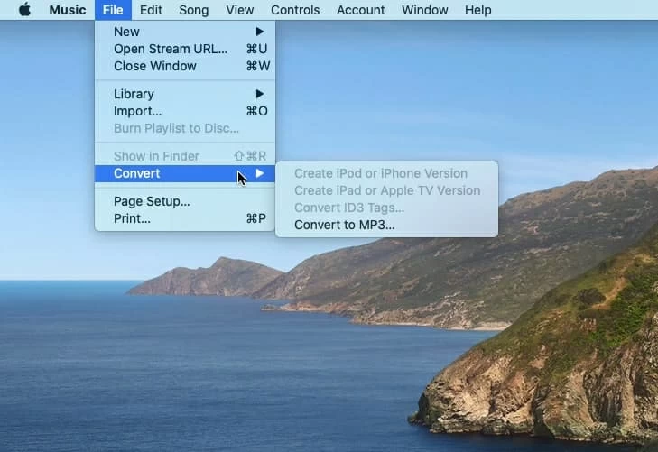 Music app convert.webp.webp.webp