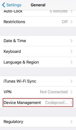 iPhoneデバイス管理