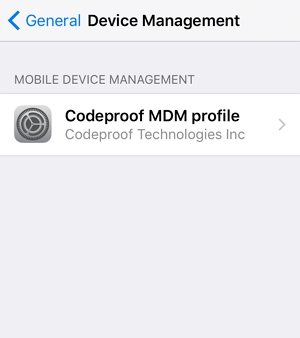パスワードステップ3でiPhoneでMDMを削除します