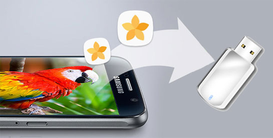 Transfer android photos to flash drive.jpg