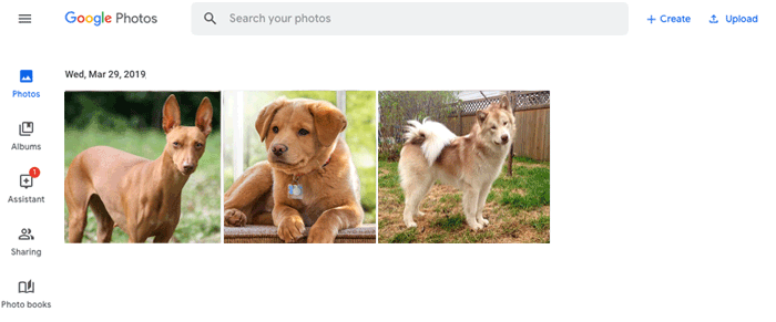 GoogleフォトでコンピューターからAndroidまたはiPhoneに写真をインポートする